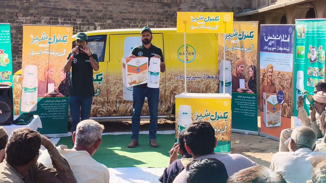 Phalia — Session 4